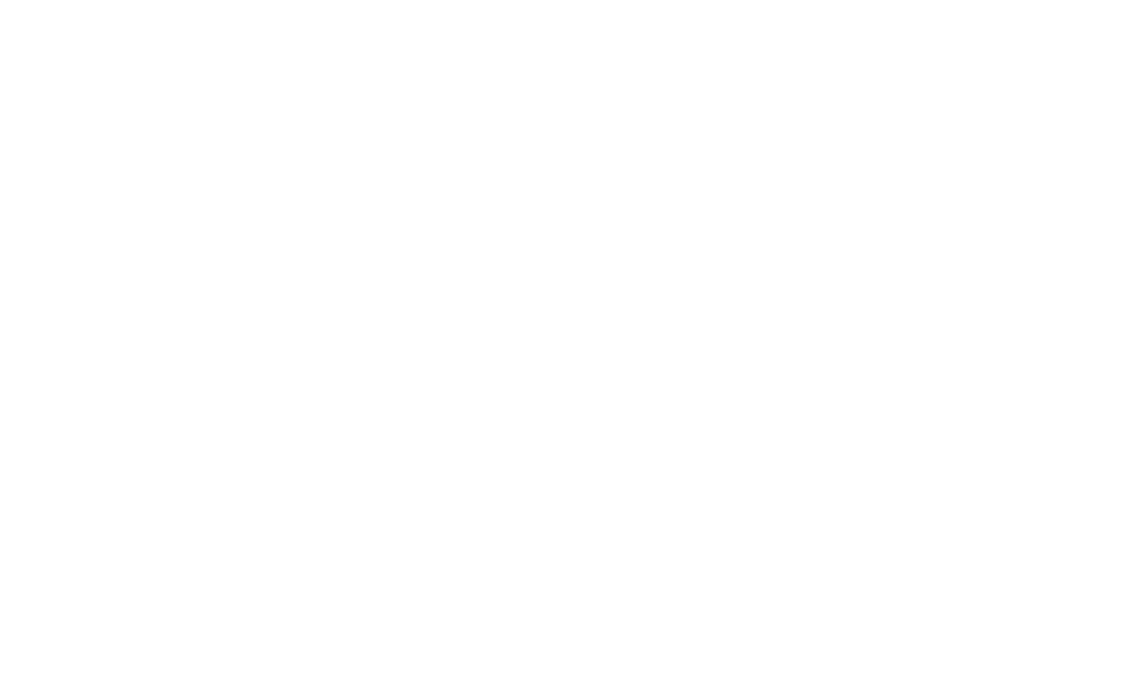The Conservative Caucus logo with American flag